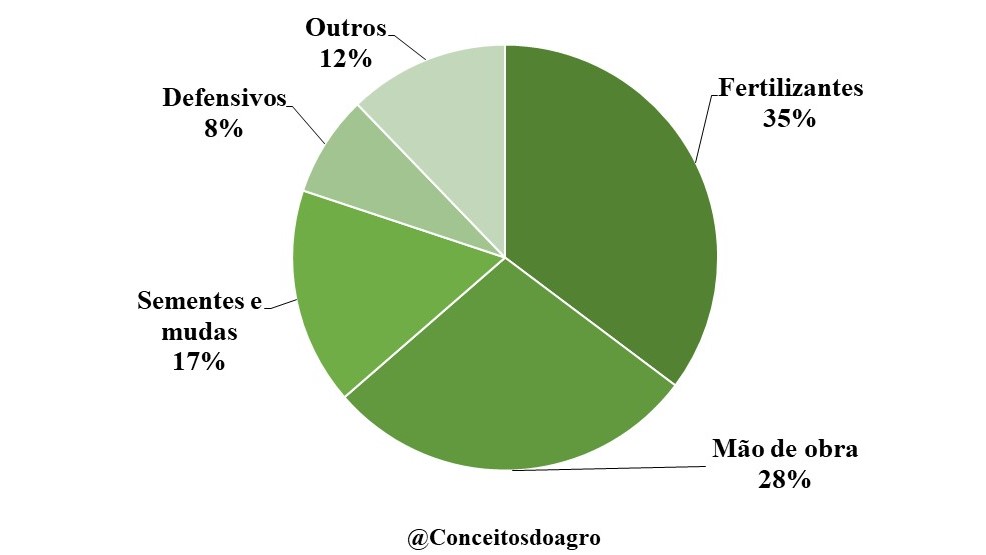 Custo de produção do abacaxi na Paraíba na safra de 2022/23.