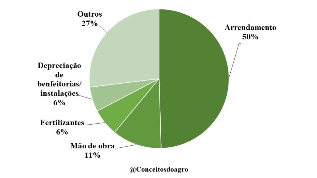 Custo de produção da mandioca no Paraná em 2022/23.