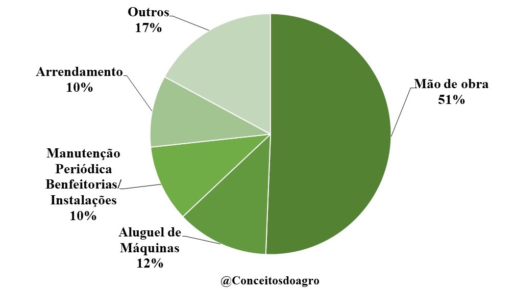 Custo de produção da castanha de caju no Ceará no ano de 2022.