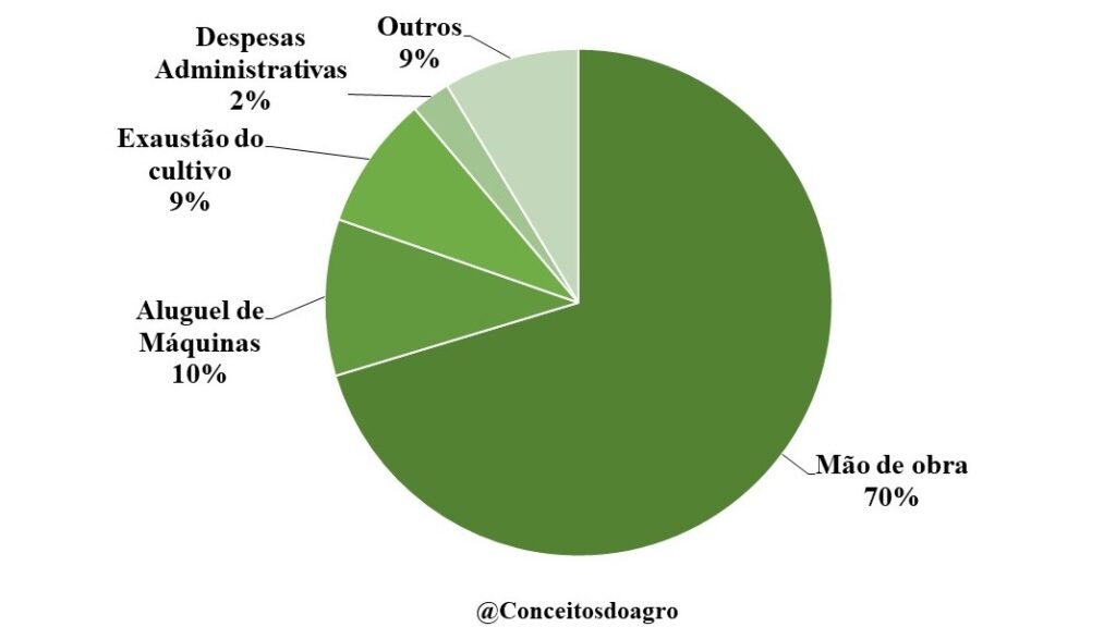 Custo agropecuário da castanha de caju no Piauí no ano de 2022.