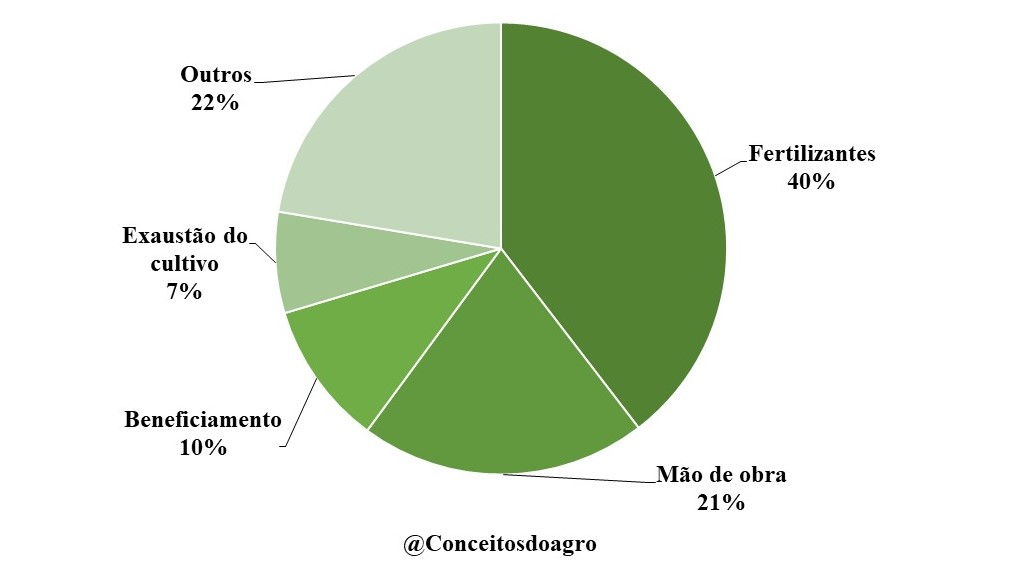 Custo de produção do café conilon na Bahia em 2022.