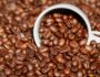 Custo agrícola do café conilon 2022 – Espírito Santo