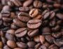 Custo agrícola do café conilon 2022 – Rondônia