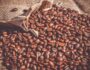 Custo agrícola café arábica 2022 – Minas Gerais
