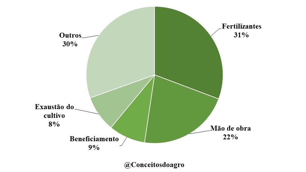 Custo agrícola do café conilon 2022 – Espírito Santo