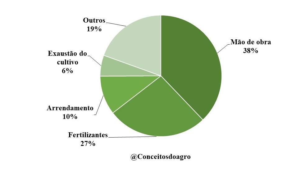 Custo de produção do café arábica em Minas Gerais no ano de 2022.