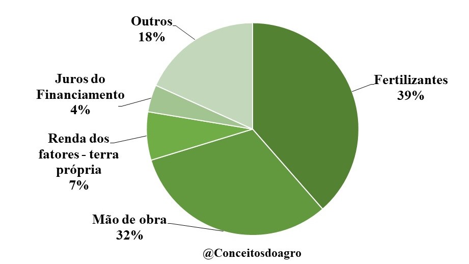 Custo de produção do café arábica no Espírito Santo no ano de 2022!